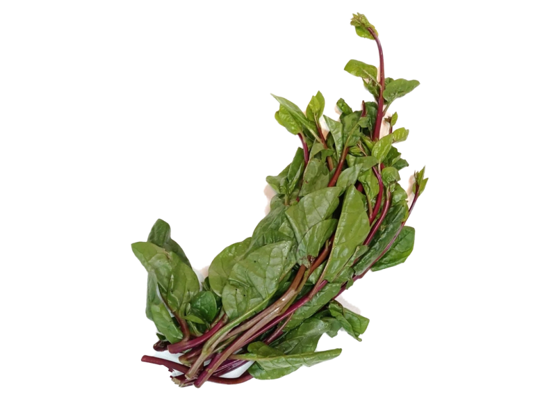 Organic Malabar Spinach